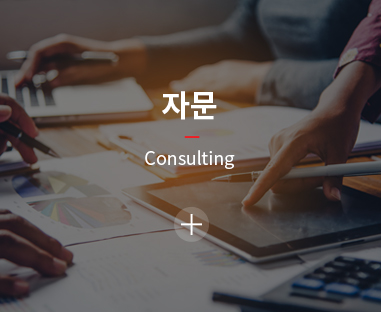 자문 / Consulting